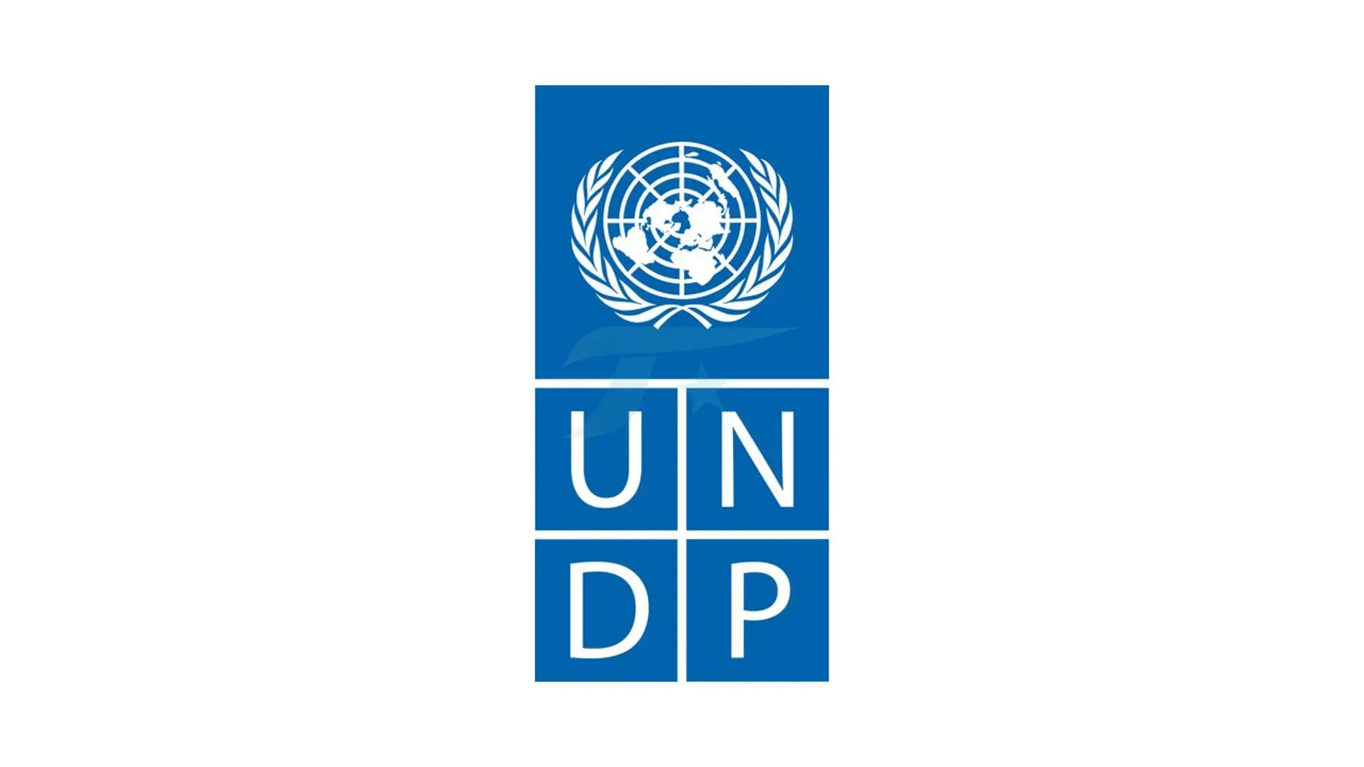 برنامج الأمم المتحدة الإنمائي (UNDP) في إسطنبول يبحث عن متدرب في عمليات المشاريع يجيد اللغة التركية