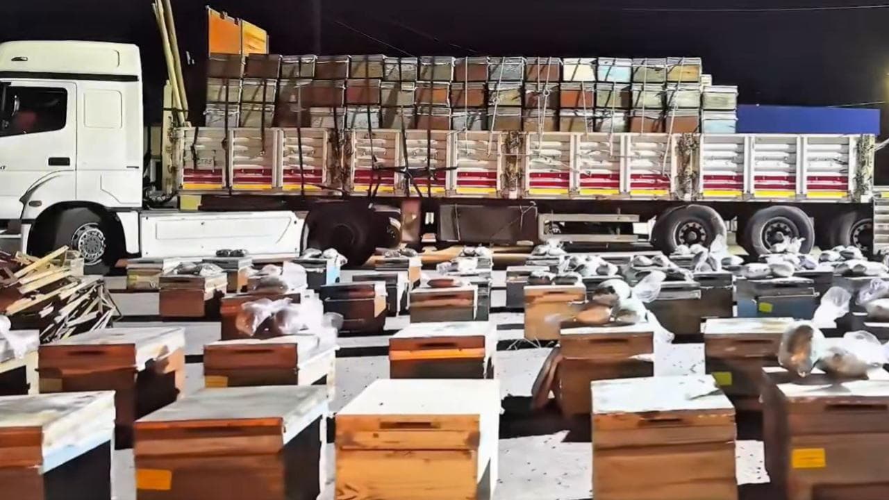 В турецкой провинции Хаккяри в ульях нашли 91,1 кг наркотиков