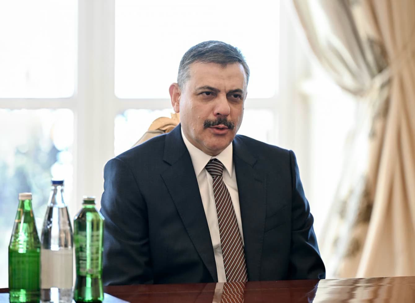 Министр внутренних дел Чифтчи: сбор бездомных животных завершён по всей Турции